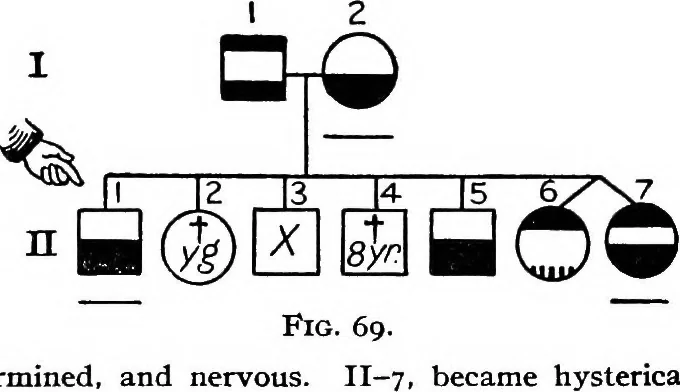 An illustration from The feebly inhibited; Nomadism, or the wandering impulse, with special reference to heredity, Inheritance of temperament, 1915, leaf 159