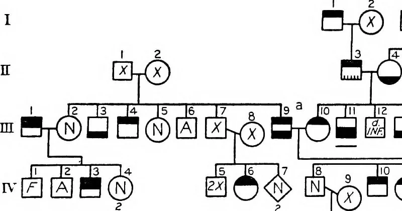 An illustration from The feebly inhibited; Nomadism, or the wandering impulse, with special reference to heredity, Inheritance of temperament, 1915, leaf 163
