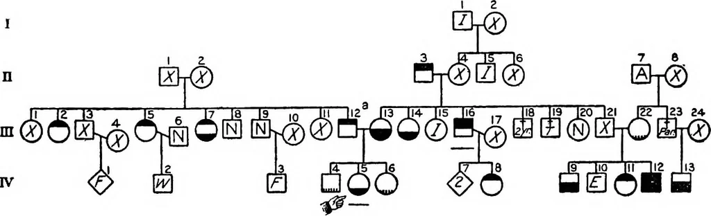 An illustration from The feebly inhibited; Nomadism, or the wandering impulse, with special reference to heredity, Inheritance of temperament, 1915, leaf 166