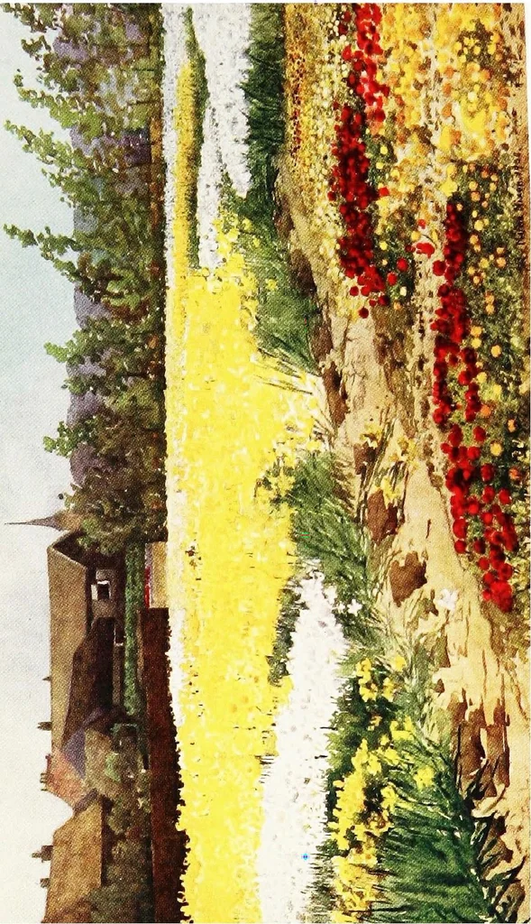 An illustration from Dutch bulbs and gardens, 1909, leaf 125