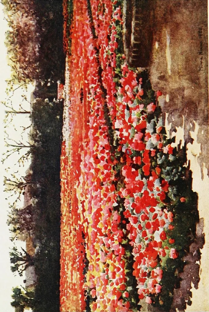 An illustration from Dutch bulbs and gardens, 1909, leaf 133