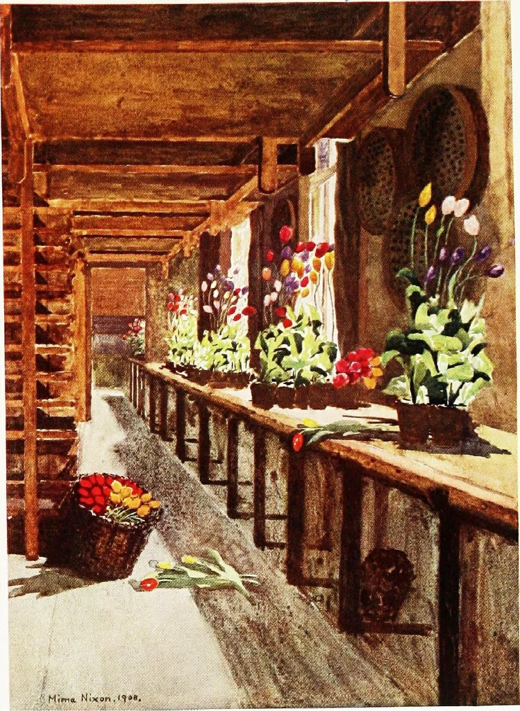 An illustration from Dutch bulbs and gardens, 1909, leaf 189