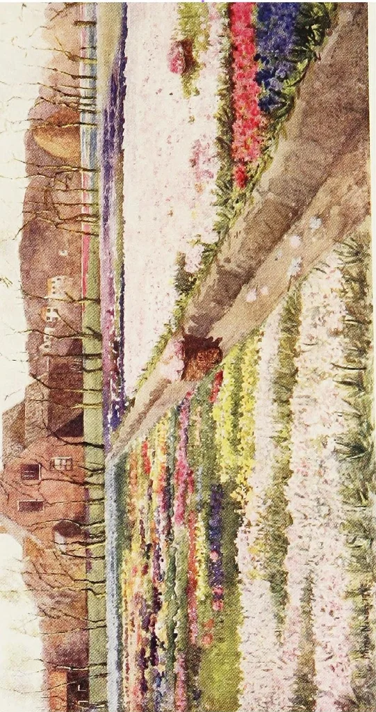 An illustration from Dutch bulbs and gardens, 1909, leaf 229