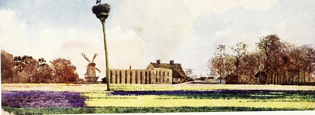 An illustration from Dutch bulbs and gardens, 1909, leaf 61