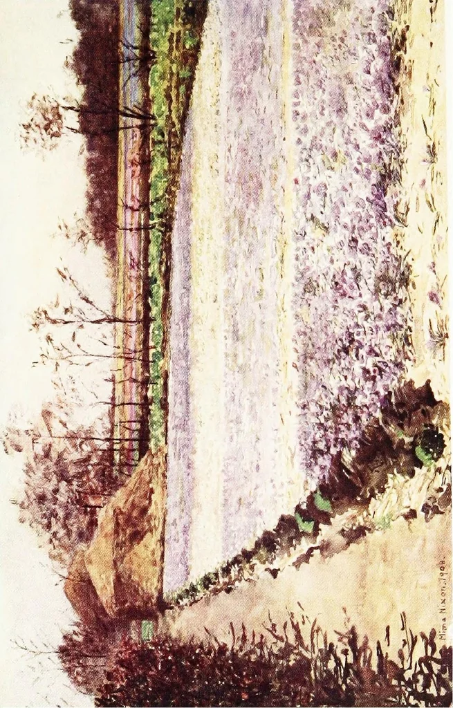 An illustration from Dutch bulbs and gardens, 1909, leaf 81