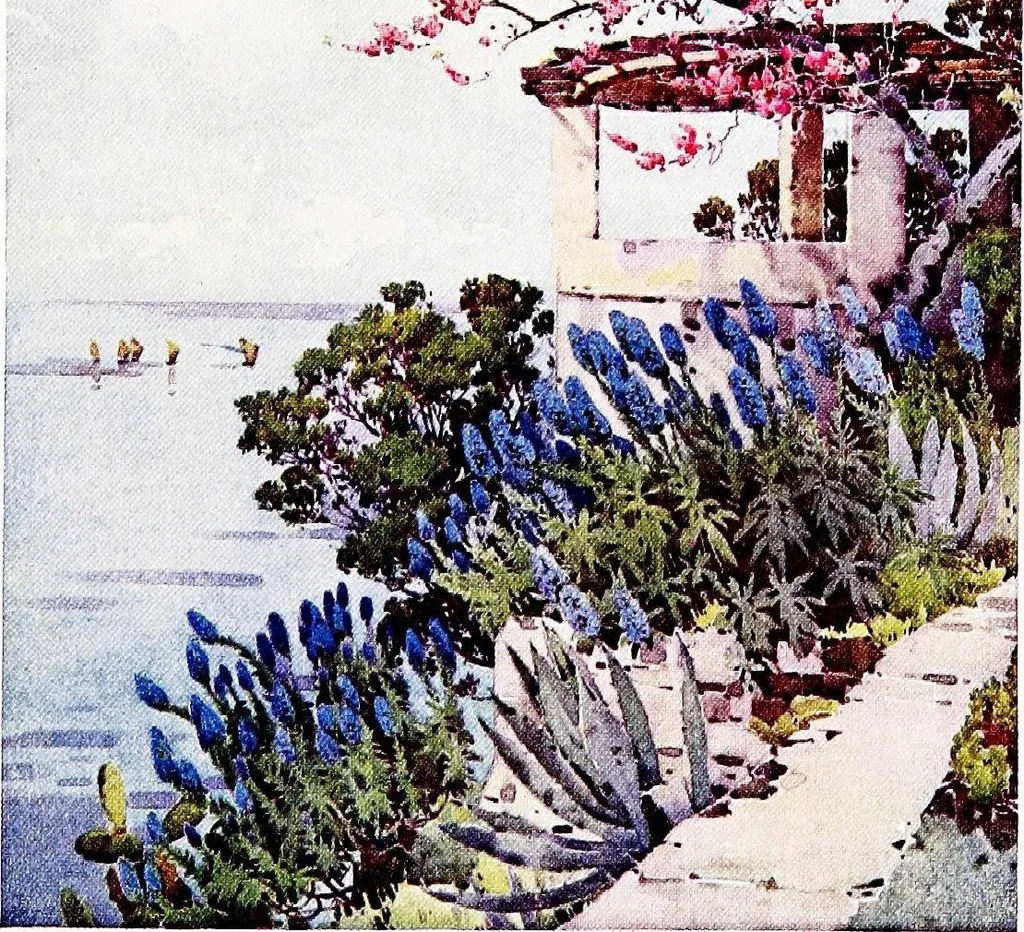 An illustration from The flowers and gardens of Madeira, 1909, leaf 113