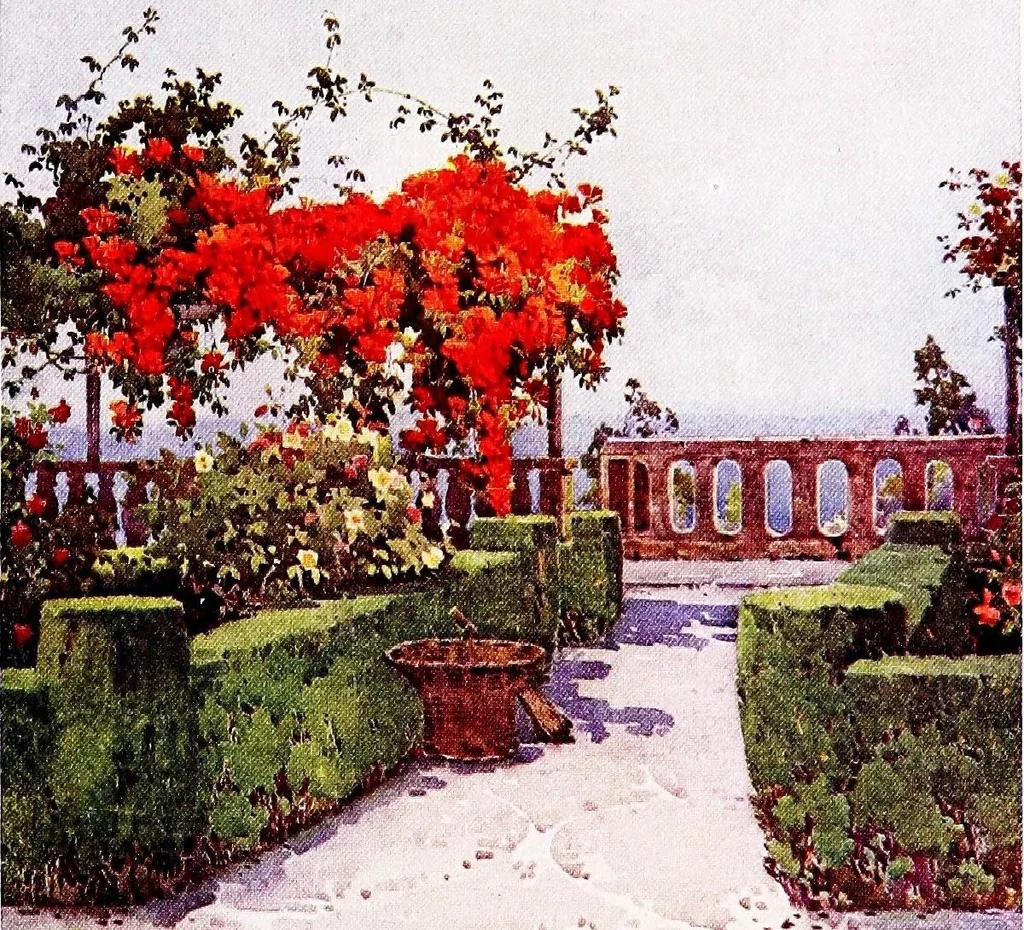 An illustration from The flowers and gardens of Madeira, 1909, leaf 121