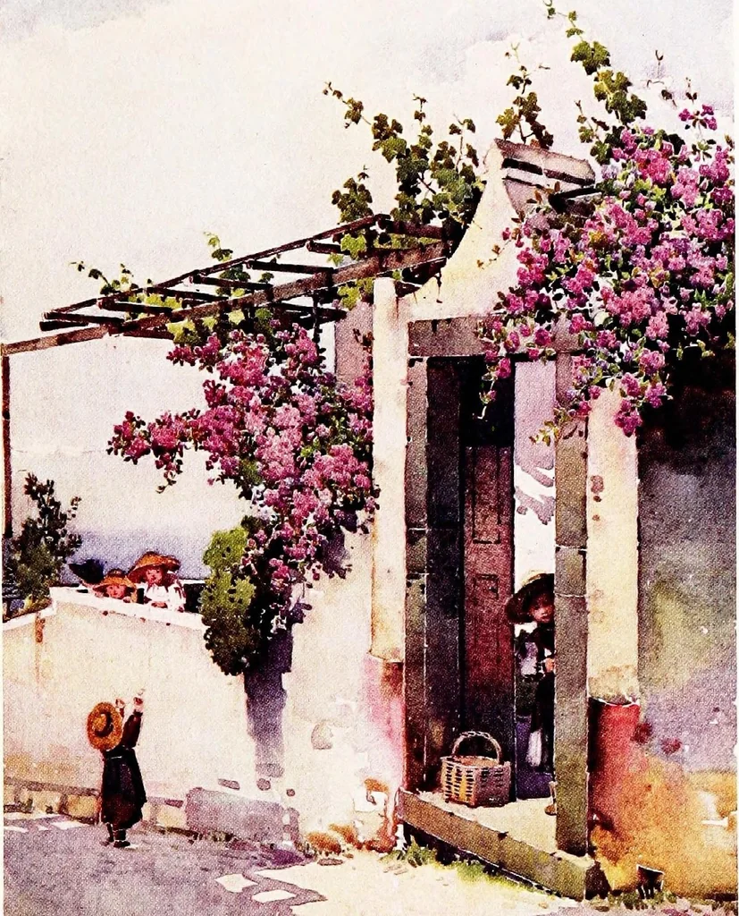 An illustration from The flowers and gardens of Madeira, 1909, leaf 135