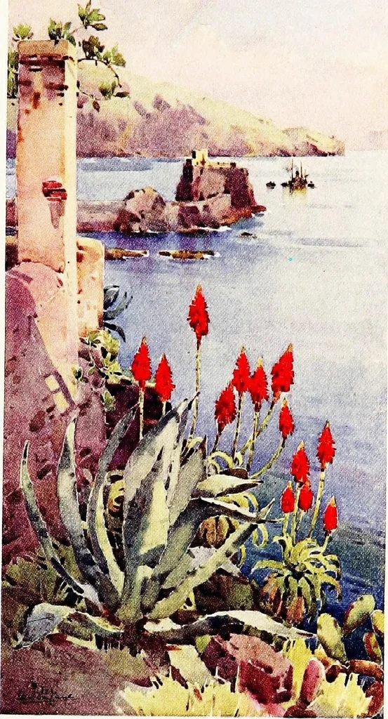An illustration from The flowers and gardens of Madeira, 1909, leaf 175