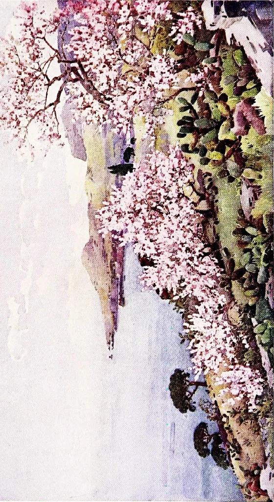 An illustration from The flowers and gardens of Madeira, 1909, leaf 185