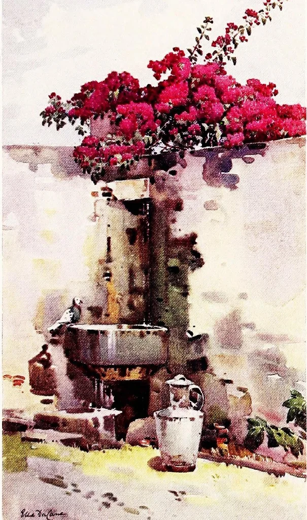 An illustration from The flowers and gardens of Madeira, 1909, leaf 19