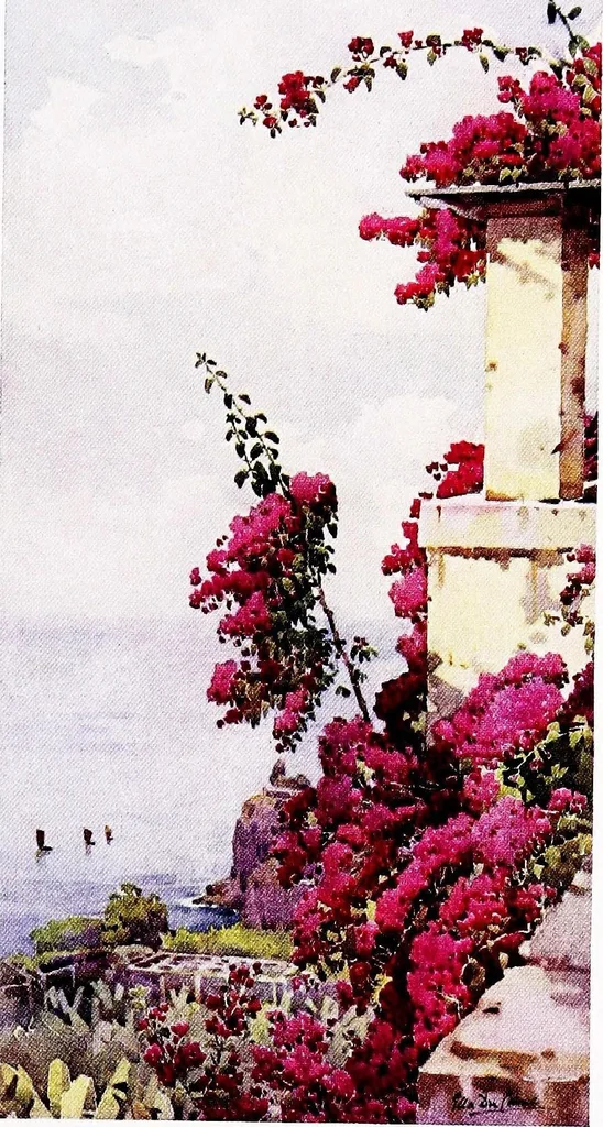 An illustration from The flowers and gardens of Madeira, 1909, leaf 197