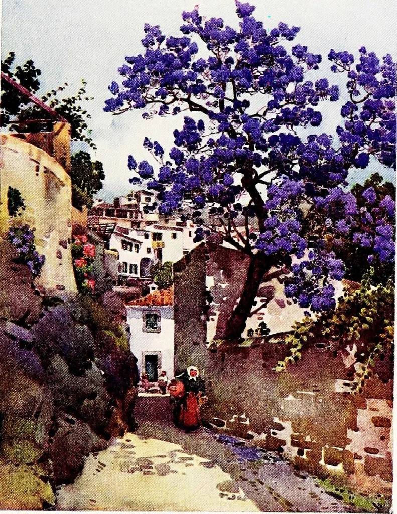 An illustration from The flowers and gardens of Madeira, 1909, leaf 223