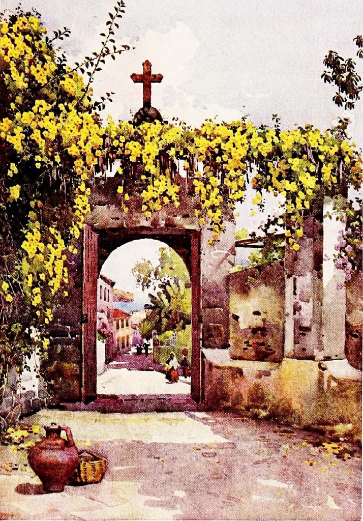 An illustration from The flowers and gardens of Madeira, 1909, leaf 235