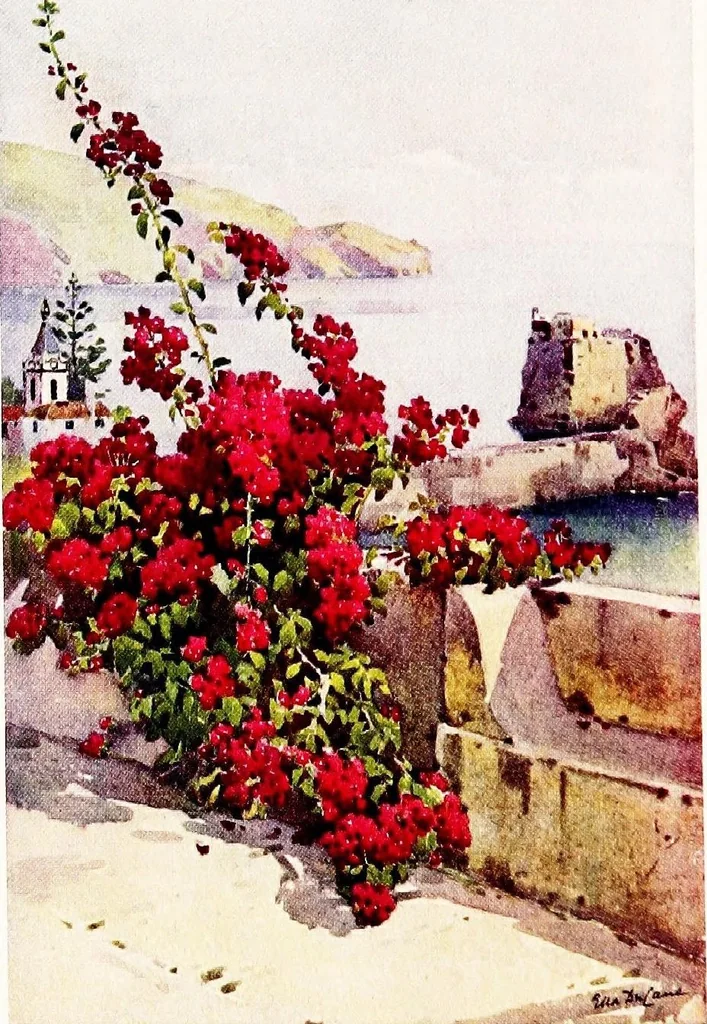 An illustration from The flowers and gardens of Madeira, 1909, leaf 4