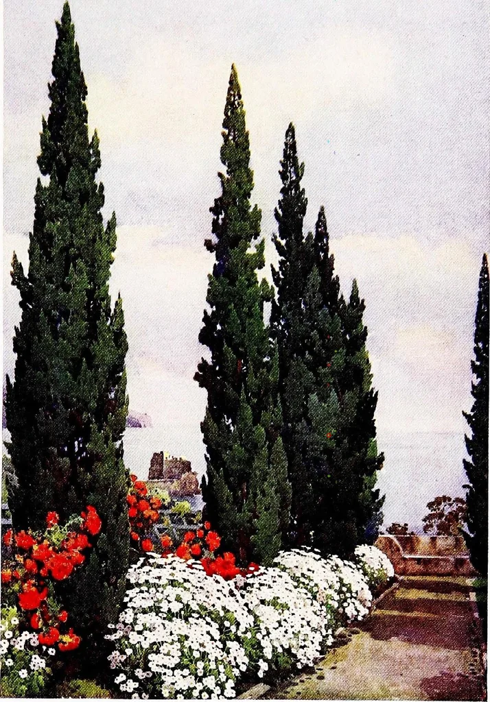 An illustration from The flowers and gardens of Madeira, 1909, leaf 69