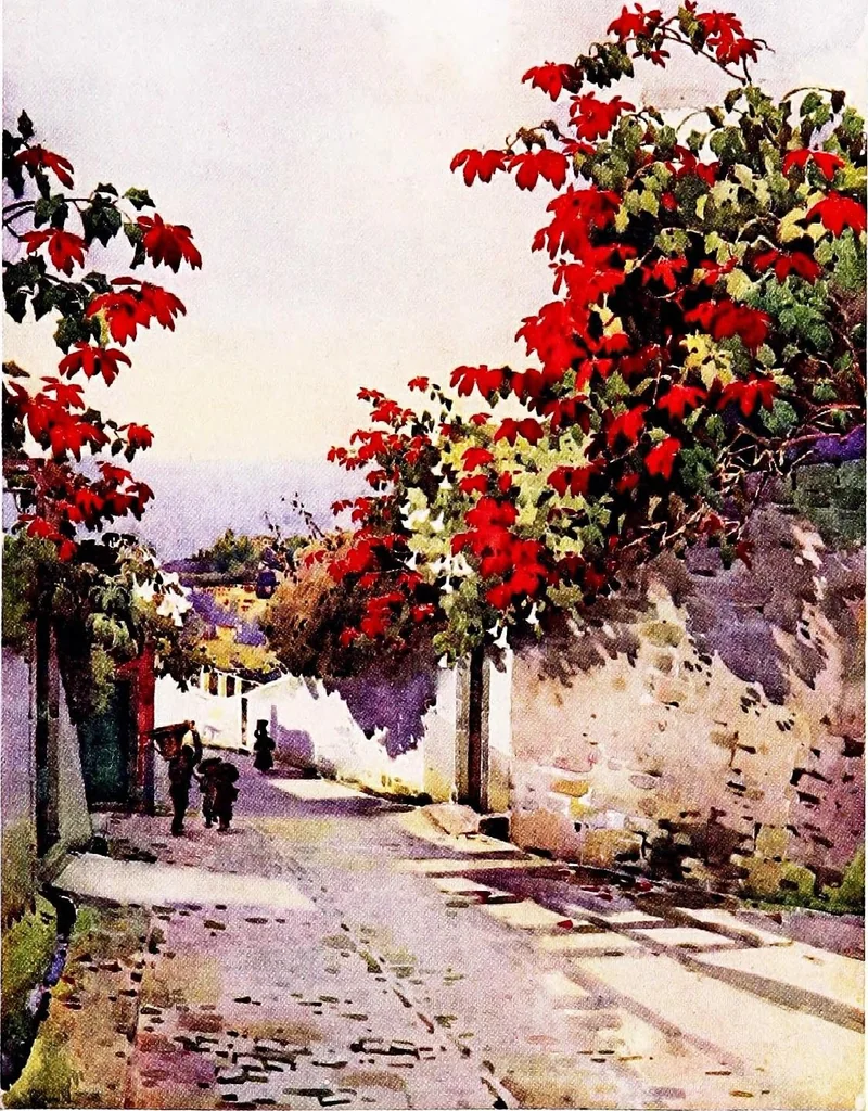 An illustration from The flowers and gardens of Madeira, 1909, leaf 85