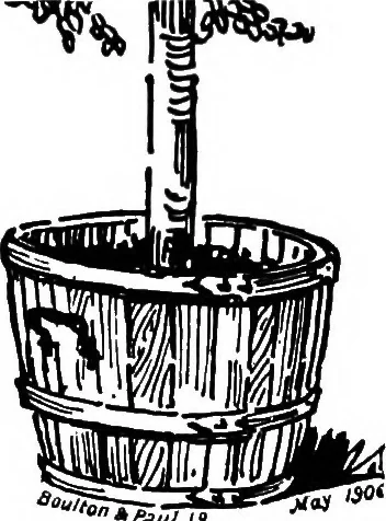 An illustration from The book of garden furniture, 1903, leaf 137