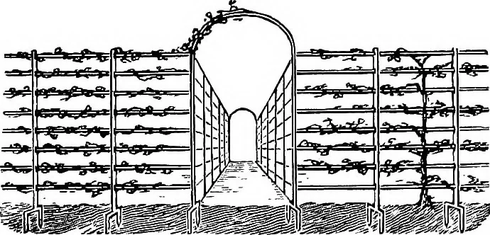 An illustration from The book of garden furniture, 1903, leaf 60