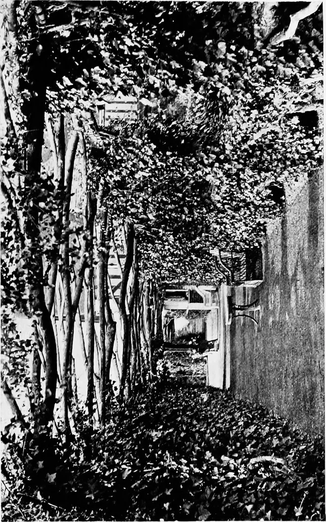 An illustration from The book of garden furniture, 1903, leaf 72