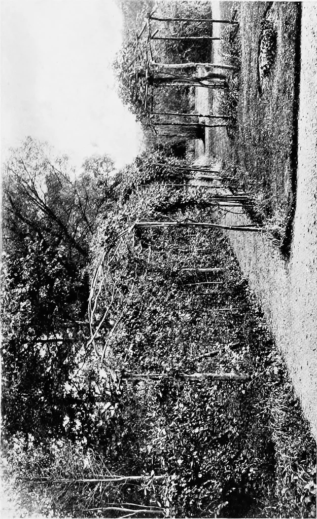 An illustration from The book of garden furniture, 1903, leaf 86