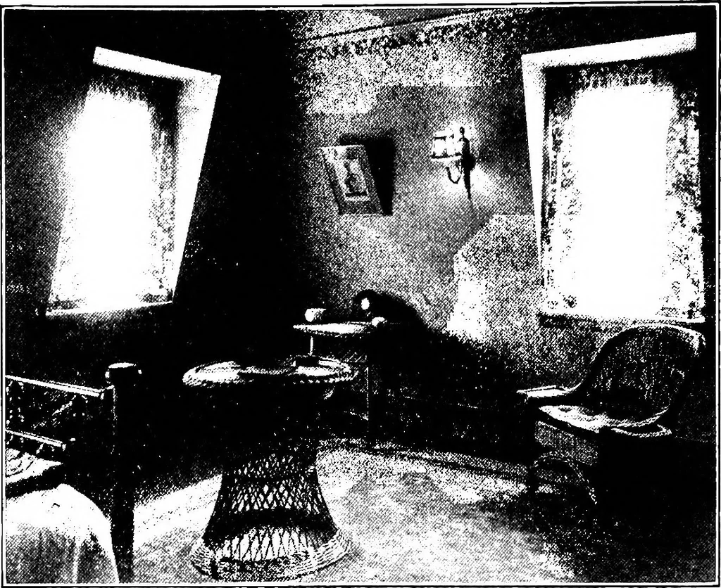 An illustration from Shelter and clothing; a textbook of the household arts, 1913, leaf 105
