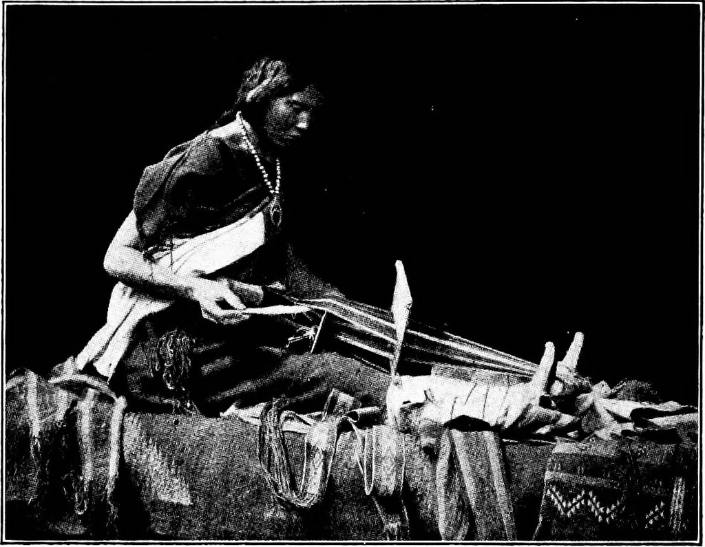 An illustration from Shelter and clothing; a textbook of the household arts, 1913, leaf 135