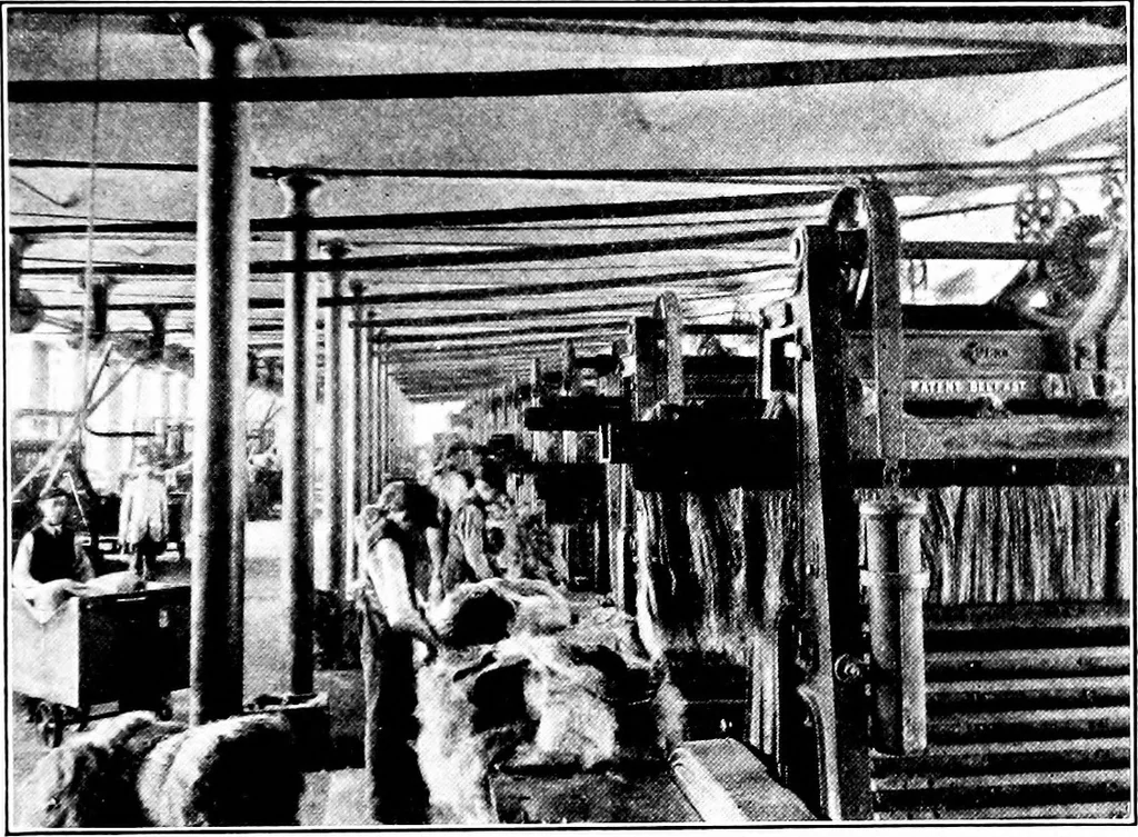 An illustration from Shelter and clothing; a textbook of the household arts, 1913, leaf 156