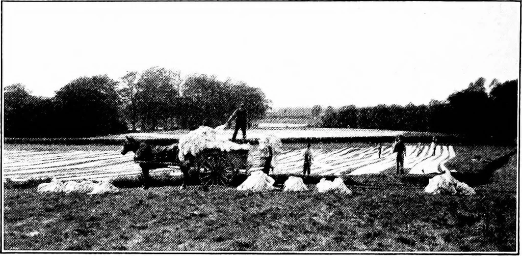 An illustration from Shelter and clothing; a textbook of the household arts, 1913, leaf 163