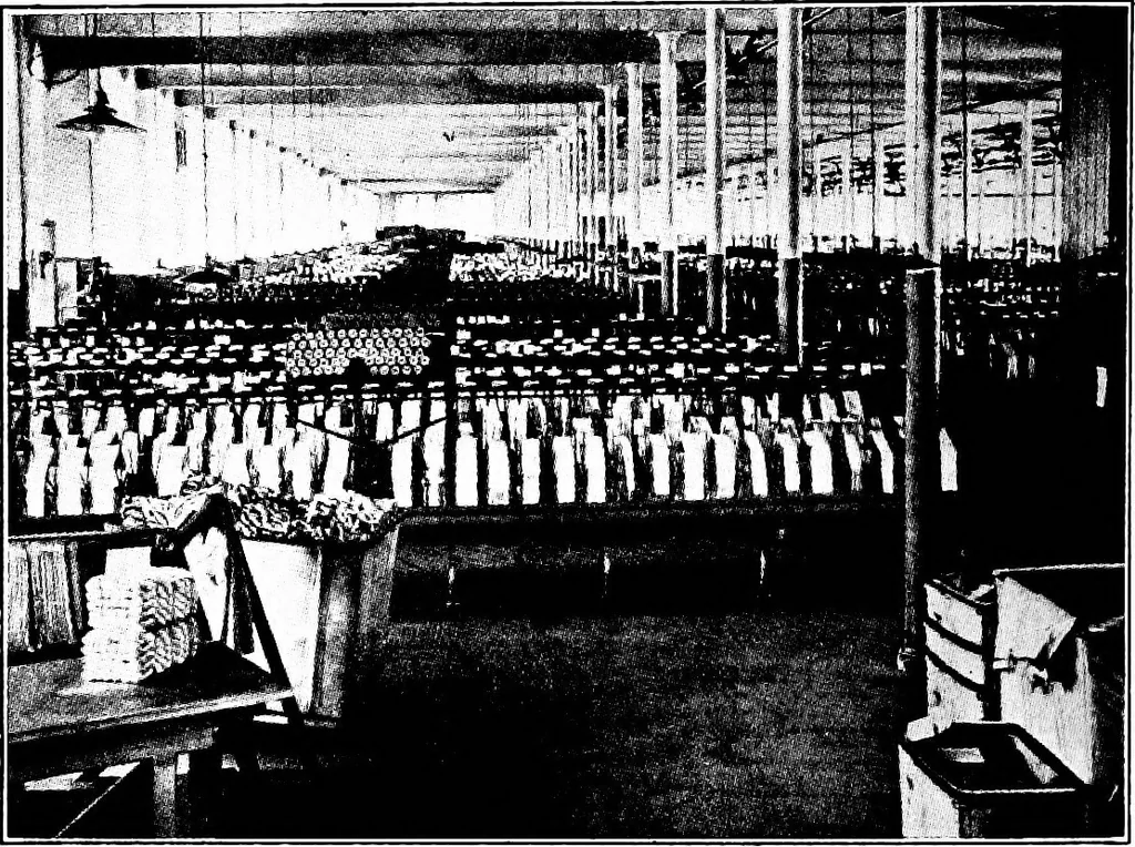 An illustration from Shelter and clothing; a textbook of the household arts, 1913, leaf 199