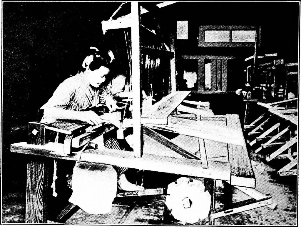 An illustration from Shelter and clothing; a textbook of the household arts, 1913, leaf 201