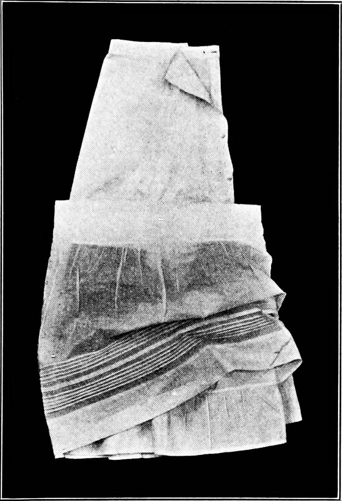 An illustration from Shelter and clothing; a textbook of the household arts, 1913, leaf 272