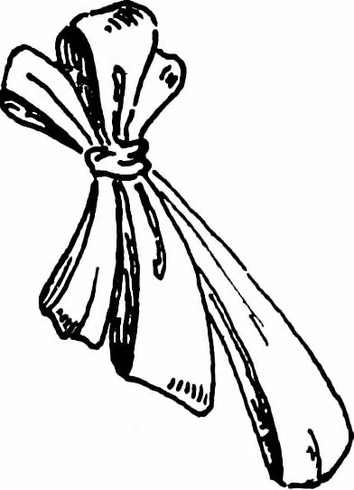 An illustration from Shelter and clothing; a textbook of the household arts, 1913, leaf 386