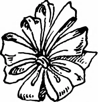 An illustration from Shelter and clothing; a textbook of the household arts, 1913, leaf 386