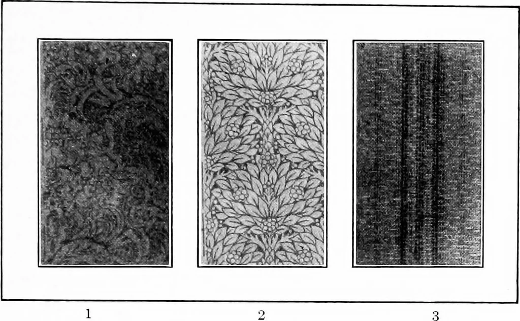 An illustration from Shelter and clothing; a textbook of the household arts, 1913, leaf 86