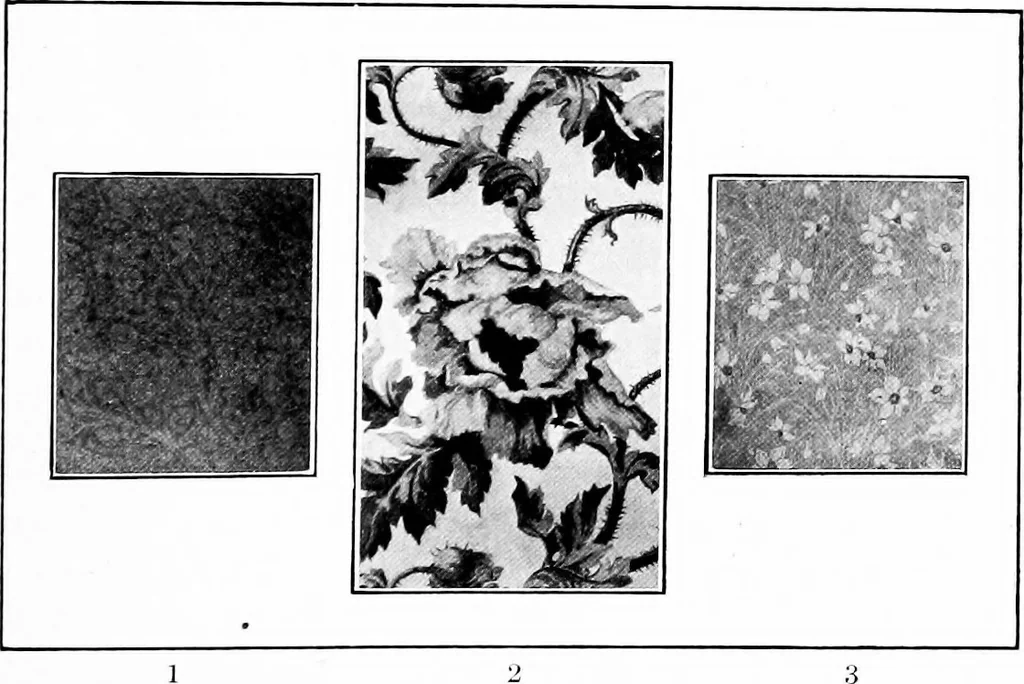 An illustration from Shelter and clothing; a textbook of the household arts, 1913, leaf 86