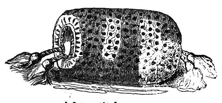 An illustration from The handbook of needlework, 1851, leaf 231