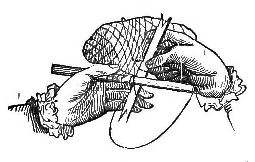 An illustration from The handbook of needlework, 1851, leaf 246