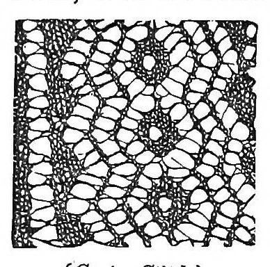 An illustration from The handbook of needlework, 1851, leaf 318