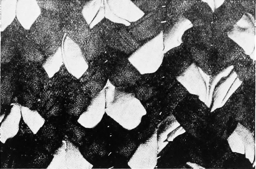 An illustration from The craft of hand-made rugs, 1920, leaf 64