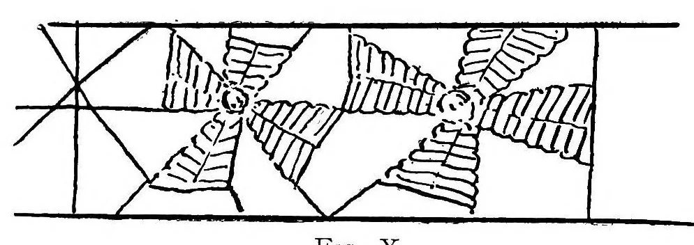 An illustration from The new lace embroidery (Punto tagliato) With 34 illustrations, 1905, leaf 31