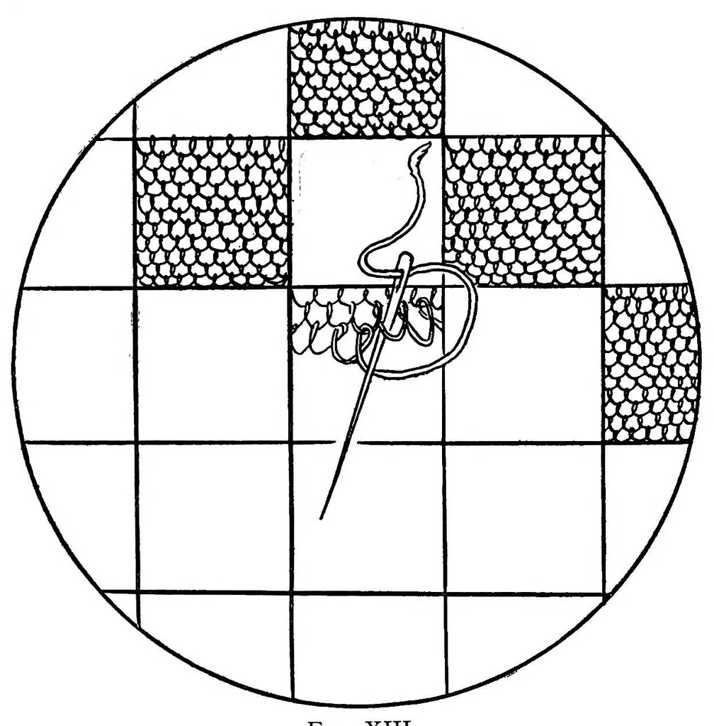 An illustration from The new lace embroidery (Punto tagliato) With 34 illustrations, 1905, leaf 39