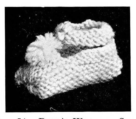 An illustration from Knitting without "specimens"; the modern book of school knitting and crochet, 1915, leaf 68