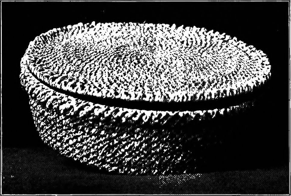 An illustration from Practical and artistic basketry, 1904, leaf 101