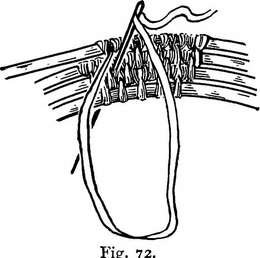 An illustration from Practical and artistic basketry, 1904, leaf 102