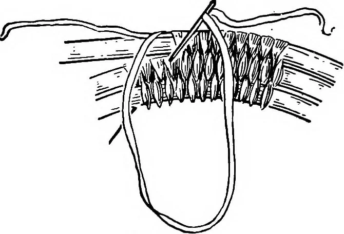 An illustration from Practical and artistic basketry, 1904, leaf 109