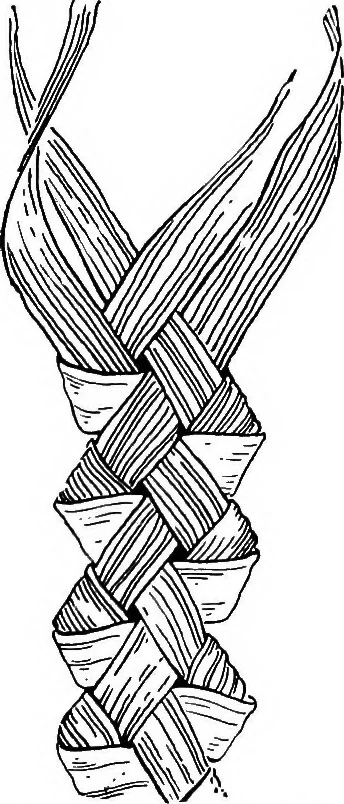 An illustration from Practical and artistic basketry, 1904, leaf 120