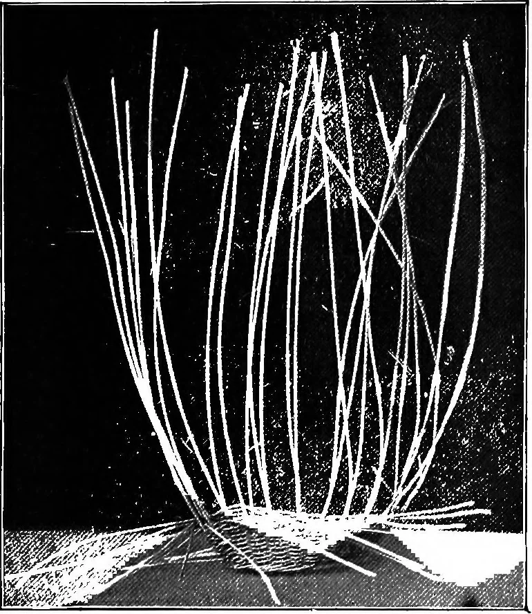 An illustration from Practical and artistic basketry, 1904, leaf 61
