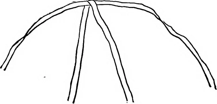 An illustration from Practical and artistic basketry, 1904, leaf 65