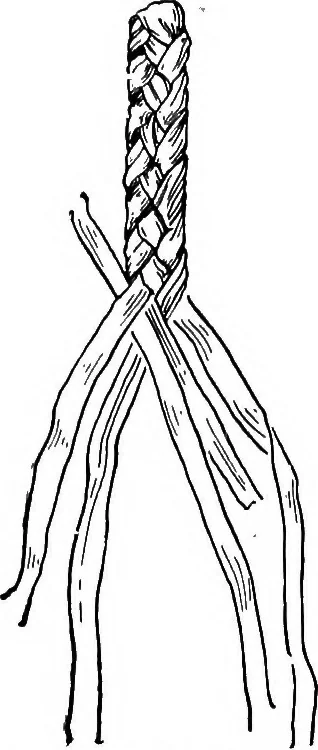 An illustration from Practical and artistic basketry, 1904, leaf 66